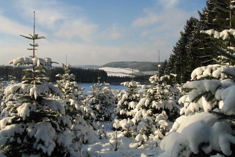 Cosy Apartment In Menkhausen Near The Ski Area Schmallenberg Exterior foto